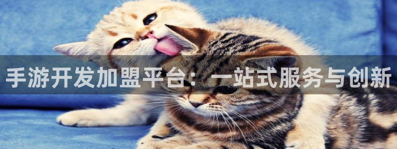 28大神预测软件北京：手游开发加盟平台：一站式服务与创新