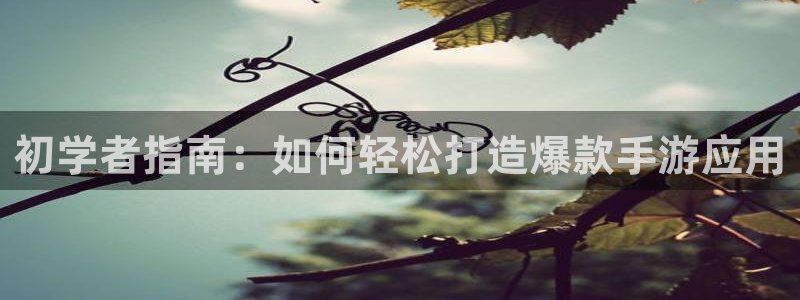 28大神零一预测：初学者指南：如何轻松打造爆款手游应用