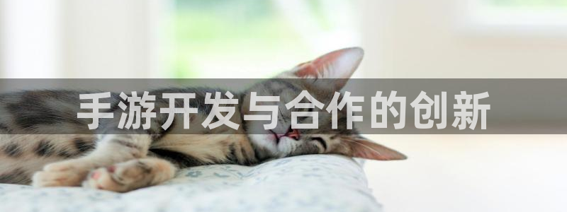 大神28预测在线预测专业28：手游开发与合作的创新