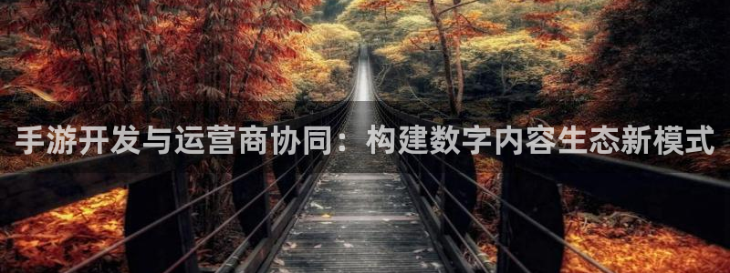 大神28app最新版：手游开发与运营商协同：构建数字内容生态