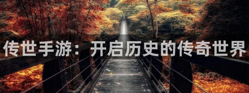 大神吧28注册：传世手游：开启历史的传奇世界