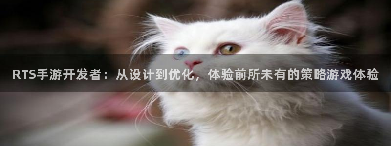 大神吧28注册：RTS手游开发者：从设计到优化，体验前所未有